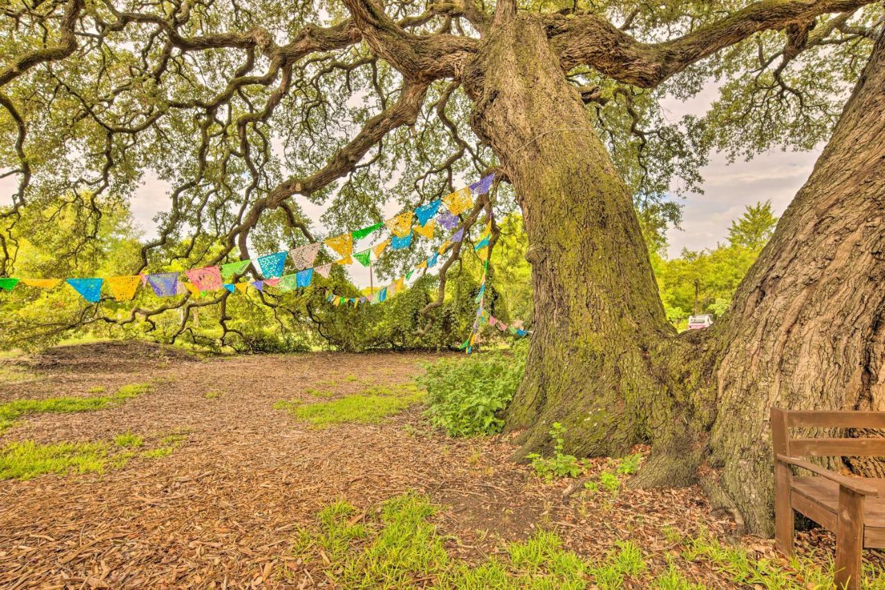 The Gathering Place Brenham Home On 6 Acres Extérieur photo